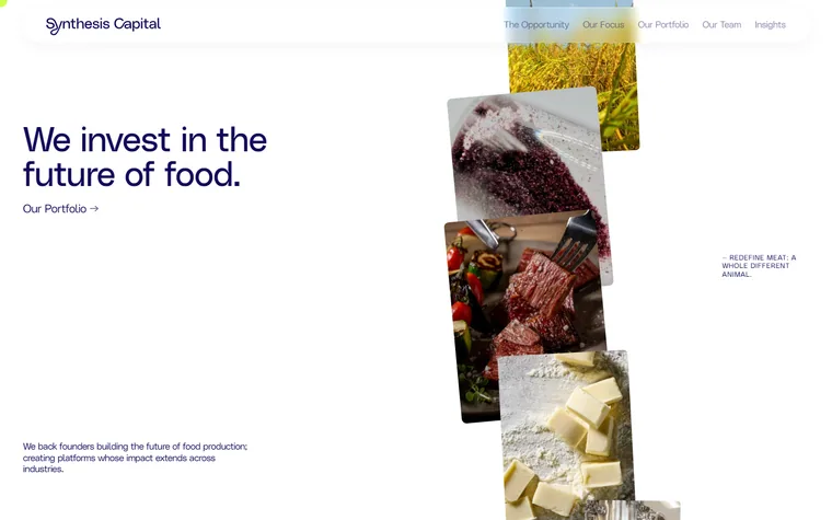 Synthesis homepage