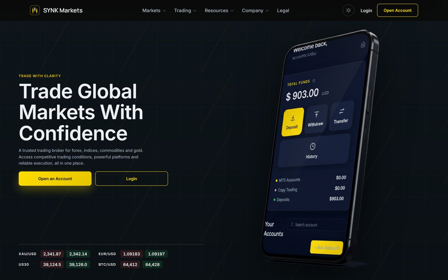 synkmarkets.com: a broker&rsquo;s landing page, with a client portal behind it
